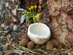 pottery and flowers at the base of a tree